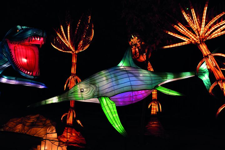 Exposition "Jurassique en voie d’illumination" au Jardin des Plantes à Paris : l'ichtyosaure (MELODY POIRIER)