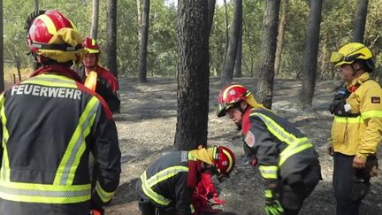 Vendredi 12 août, des renforts allemands sont arrivés en France pour prendre la relève des pompiers à bout de force, après un mois de lutte acharnée contre les incendies. (FRANCEINFO)