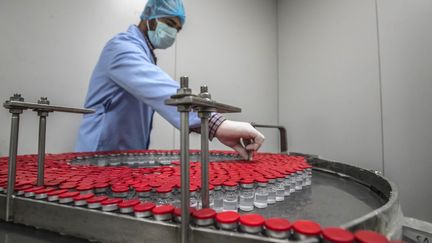 Production of Sinovac vaccines by an Egyptian company in Cairo, in 2021. The authorities then wanted to make Egypt the largest vaccine producer in the Middle East and Africa.  (KHALED DESOUKI / AFP)