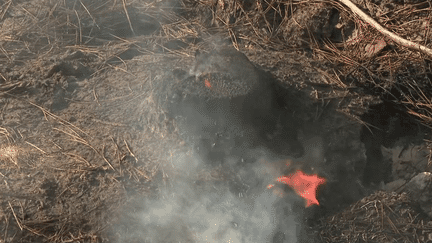 Incendies : en Gironde, le feu couve toujours (France 3)