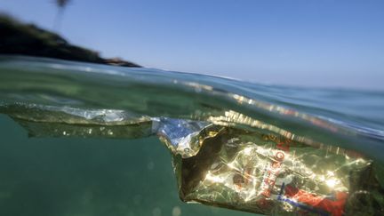 Un sac plastique flottant dans l'océan Indien. (OLIVIER MORIN / AFP)