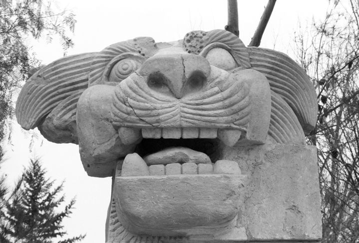 La statue du Lion d'Athéna découverte en 1977 par une mission polonaise dans le temple  d'Al-Lat  et photographiée ici en avril 1978. 
 (Yuryi Abramochkin / RIA Novosti )