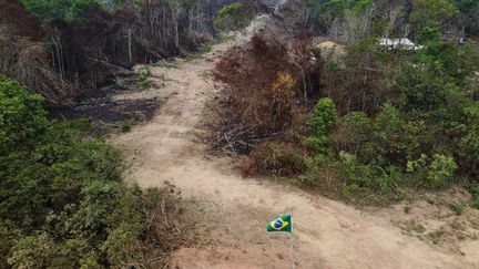 Une partie de la forêt amazonienne déforestée en septembre 2022.&nbsp; (MICHAEL DANTAS / AFP)