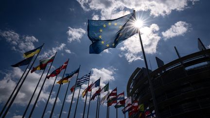 Les drapeaux des pays européens devant le Parlement de l'UE à Strasbourg. (SEBASTIEN BOZON / AFP)