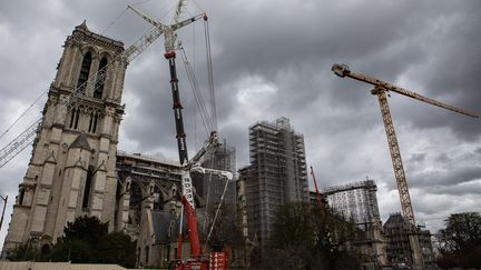 "Je crois qu'on peut dire qu'on est dans les temps" estime Bertrand de Feydeau au sujet de l'objectif de reconstruction de la cathédrale Notre-Dame de Paris en cinq ans. (NOEMIE COISSAC / HANS LUCAS)