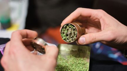 Une personne&nbsp;est en possession de&nbsp;cannabis, le 20 février 2021 à Paris. (HERMANN CLICK / HANS LUCAS / AFP)