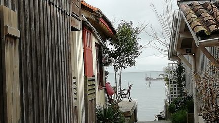 Cabanes d'ostréiculteurs dans le bassin d'Arcachon (photo d'illustration). (Clémence Fulleda/Radio France)