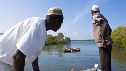 Dans une mangrove d'Ibo,&nbsp;une des îles de l'archipel des Quirimbas, dans la&nbsp;province de Cabo Delgado au nord du Mozambique. (GUIZIOU FRANCK / HEMIS.FR)