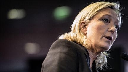 La pr&eacute;sidente du Front national, Marine Le Pen, au congr&egrave;s du parti &agrave; Lyon (Rh&ocirc;ne), le 29 novembre 2014. (JEFF PACHOUD / AFP)