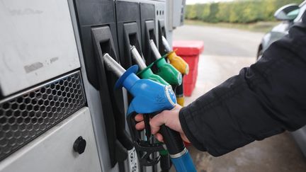 Du bioethanol E85, un biocarburant, vendu dans une station-service française. (FRED HASLIN / MAXPPP)