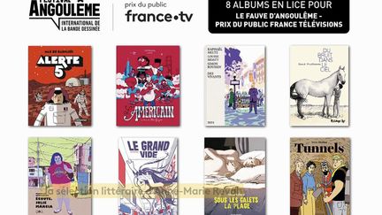 Huit BD ont été préselectionnées pour le Prix fauve du festival d'Angoulême. (FRANCEINFO)