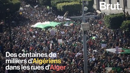 VIDEO. "Pour une révolution de notre pays" : Les Algériens poursuivent leur combat contre Bouteflika (BRUT)