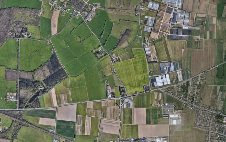 L'intoxication de Brain-sur-l'Authion (Maine-et-Loire) est partie du champ en vert clair, au centre de l'image. (GOOGLE EARTH)