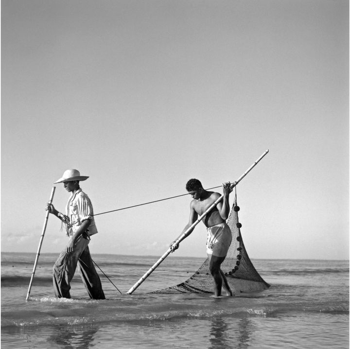 Marcel Gautherot, Ilha Mexiana, Pará, c. 1950, Acervo Instituto Moreira Salles
 (Marcel Gautherot)