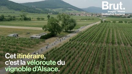 Tandis que les cyclistes du Tour de France s'élancent à travers l'Alsace, la véloroute du Vignoble d'Alsace permet de prendre le temps d'apprécier le paysage.