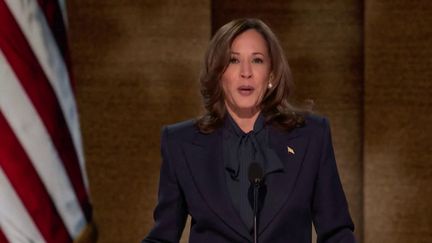 Présidentielle américaine 2024 : Kamala Harris accepte l'investiture démocrate (France 2)