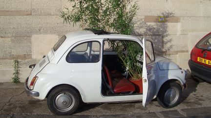 Fiat 500 de 1972 (Gerard Feldzer)