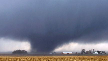 Une tornade pr&egrave;s de Flatville (Illinois, Etats-Unis), le 17 novembre 2013. (JESSIE STARKEY / AP / SIPA)