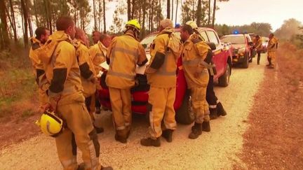 Incendie en Gironde&nbsp;: les pompiers luttent sans relâche contre les flammes (France 3)