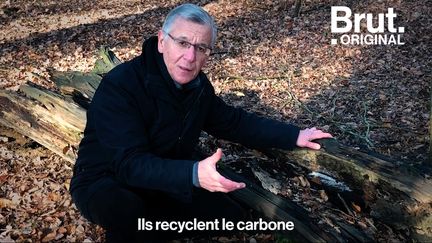 Francis Martin, microbiologiste, étudie les liens forts qui unissent les champignons aux autres espèces végétales.