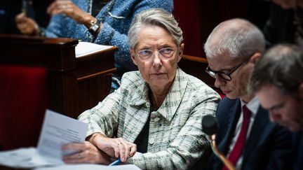 La Première ministre, Elisabeth Borne, à l'Assemblée nationale (Paris), le 17 novembre 2023. (XOSE BOUZAS / HANS LUCAS / AFP)