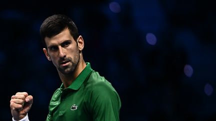 Novak Djokovic, lors de sa demi-finale de l'ATP Finals contre Taylor Fritz, le 19 novembre 2022 à Turin. (MARCO BERTORELLO / AFP)