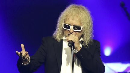 Michel Polnareff lors d'un concert à Nice (Alpes-Maritimes), le 3 décembre 2016. (VALERY HACHE / AFP)