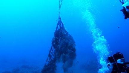 Des filets de pêche fantômes polluent la Méditerranée