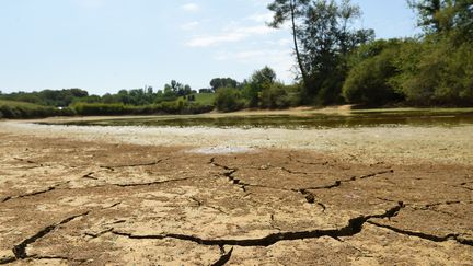 Un étang en partie asséché à Montfort-en-Chalosse (Landes), le 3 août 2022.&nbsp; (GAIZKA IROZ / AFP)