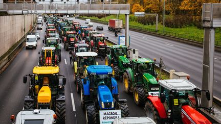 Des agriculteurs franciliens manifestent sur le périphérique parisien, le 27 novembre 2019. (MATHIEU MENARD / HANS LUCAS)