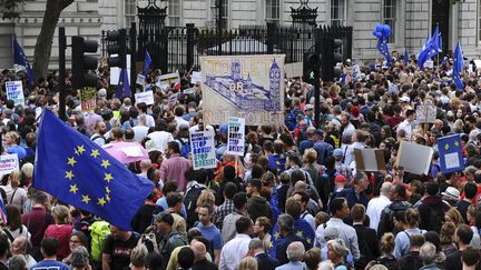 Des milliers de manifestants se sont rassemblés devant Dowing Street (Londres), le 28 août 2019, pour protester contre la décision de Boris Johnson. (DANIEL SORABJI / AFP)