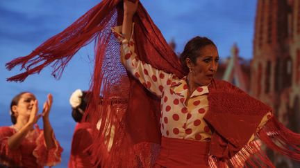 Une danseuse de flamenco au Festival international de danse et de musique en Inde, le 6 août 2022.&nbsp; (JAGADEESH NV / EPA)