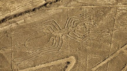 Un géoglyphe du désert de Nazca (Pérou) censé representer une araignée, le 12 décembre 2014. (MARTIN BERNETTI / AFP)