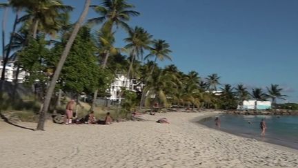 Les agences de voyages de Guadeloupe enregistrent des annulations de séjours pour la période des fêtes. Le tourisme est pourtant un pilier de l'économie locale. (CAPTURE D'ÉCRAN FRANCE 2)