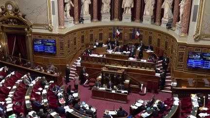 Dans la nuit du mercredi 8 au jeudi 9 mars, le Sénat a adopté l'article 7 de la réforme des retraites, qui prévoit le report de l'âge légal de départ de 62 à 64 ans. Un soulagement pour l'exécutif. (FRANCE 2)