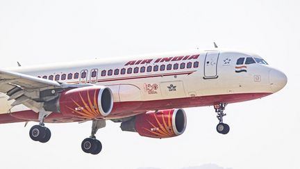 Les faits se sont produits à bord d'un vol Air India fin novembre 2022. (NICOLAS ECONOMOU / NURPHOTO / AFP)