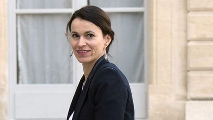 Aurélie Filippetti mars 2014
 (Alain Jocard / AFP)