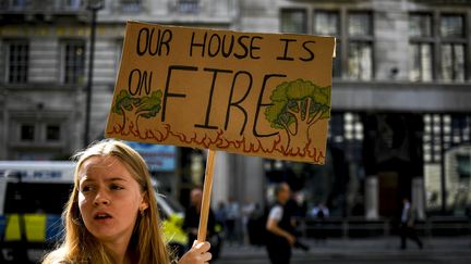 Une manifestante du groupe Extinction Rebellion, devant l'ambassade du Brésil à Londres (Royaume-Uni), le 23 août 2019.&nbsp; (ALBERTO PEZZALI / NURPHOTO / AFP)