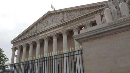 Législatives 2024 : les Français inquiets du chaos politique (Franceinfo)