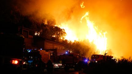 Des pompiers luttent contre les flammes à Biguglia, en Haute-Corse, le 24 juillet 2017.&nbsp; (PASCAL POCHARD-CASABIANCA / AFP)