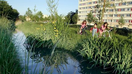 La Bièvre est une rivière de 36 kilomètres qui prend sa source à Guyancourt dans les Yvelines. &nbsp; (ANDY LECOQ / MAXPPP)