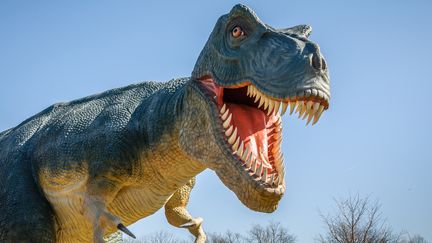  (Comment vivaient les dinosaures il y a 200 millions d'années ? © Fotolia)