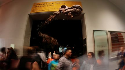 Le "Patagotitan Mayorum" a été officiellement baptisé mercredi 9 août 2017 au Muséum d’histoire naturelle de New York (Etats-Unis). Il est si long que la tête de cette réplique dépasse de la grande salle où il est exhibé. (SHANNON STAPLETON / AFP)