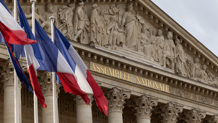 Des drapeaux français devant l'Assemblée nationale. (MYLENE DEROCHE / MAXPPP)