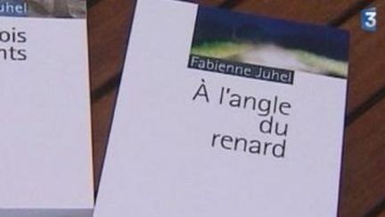 Fabienne Juhel récompensée pour son dernier livre
 (Culturebox)