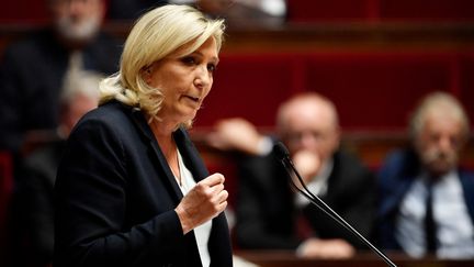 Marine Le Pen à la tribune de l'Assemblée nationale, le 24 octobre 2022, à Paris. (JULIEN DE ROSA / AFP)