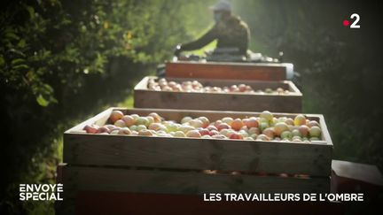 Envoyé spécial. Les travailleurs de l'ombre (ENVOYÉ SPÉCIAL  / FRANCE 2)