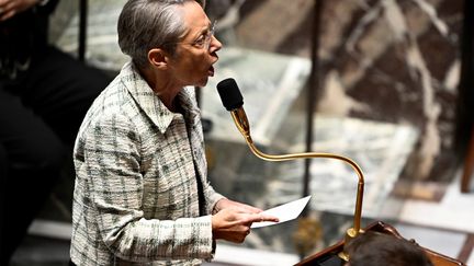 Prime Minister, Elisabeth Borne, at the National Assembly, December 19, 2023, during the government questions session.  (JULIEN DE ROSA / AFP)