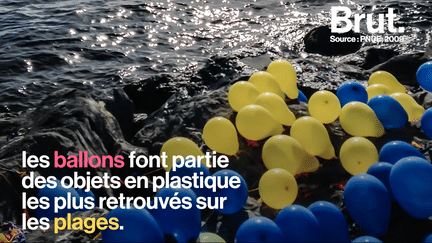 Le Parlement européen a voté, ce mercredi 24 octobre, pour l’interdiction des plastiques à usage unique. Parmi les objets polluants, un a fait débat : le ballon de baudruche.