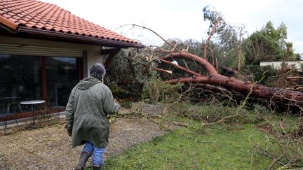 Un homme dans son jardin après le passage de la tempête Myria, le 2 mars.&nbsp; (FLORIAN ALBESSARD / MAXPPP)